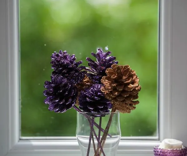 Hotel The Racehorses 3*