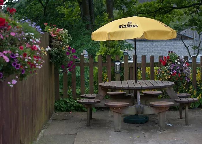 The Racehorses Hotel 3*