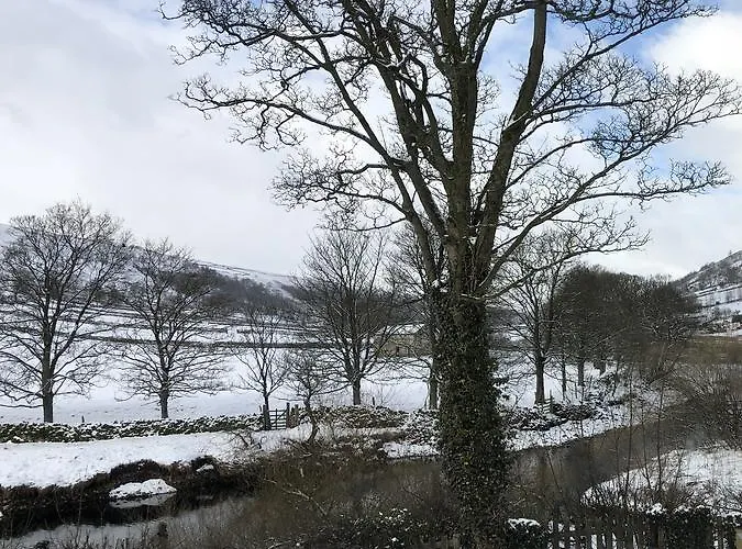 The Racehorses Hotel